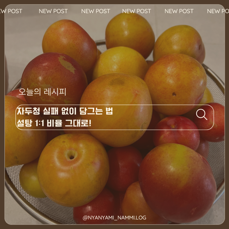 자두 2kg으로 자두청 만들기 설탕 1 대 1 비율로 실패 없이 담그는 법