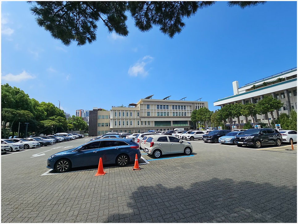 웅이네 제주보말칼국수 공항본점 사진 6