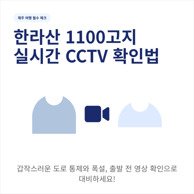 제주도 한라산 1100고지 실시간 CCTV 확인