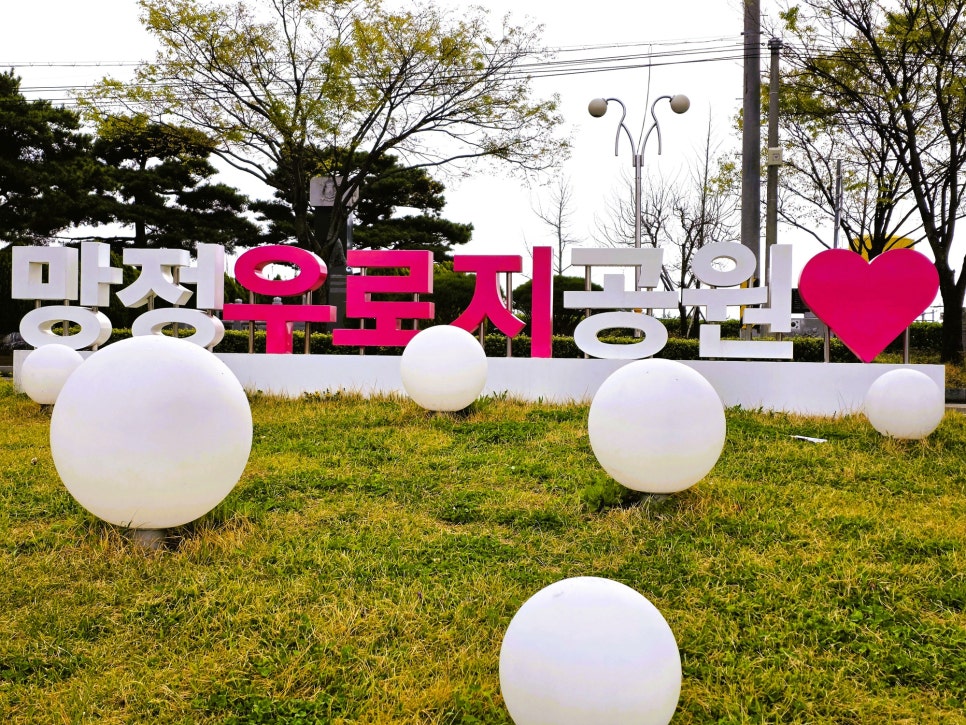 우로지 자연숲 사진 1