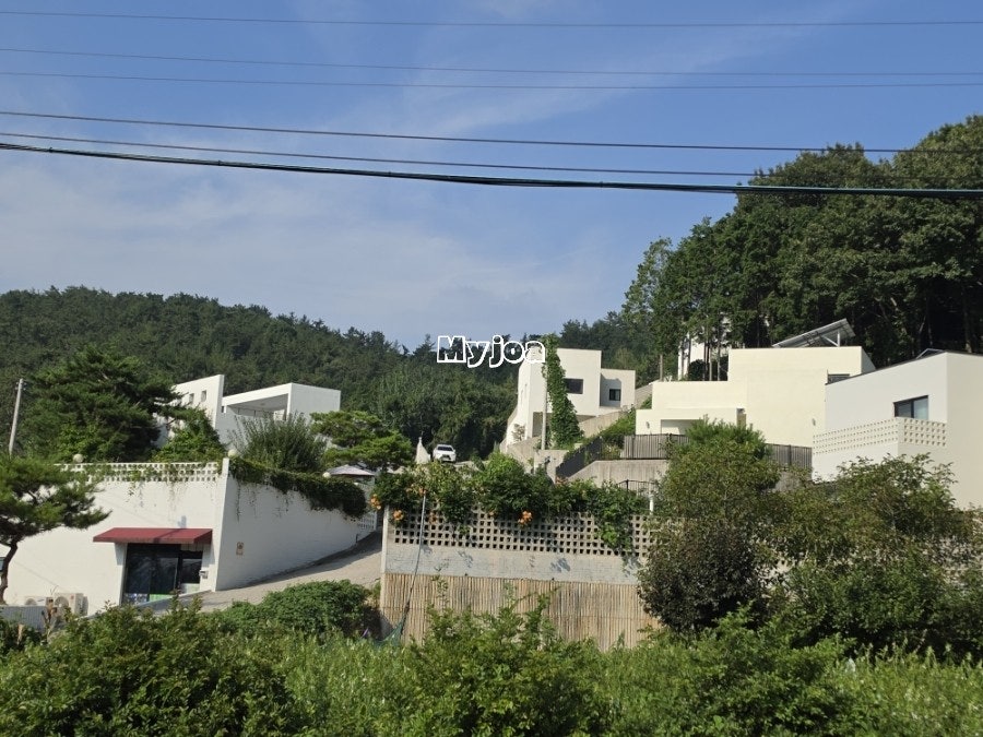 양을산 사진 4