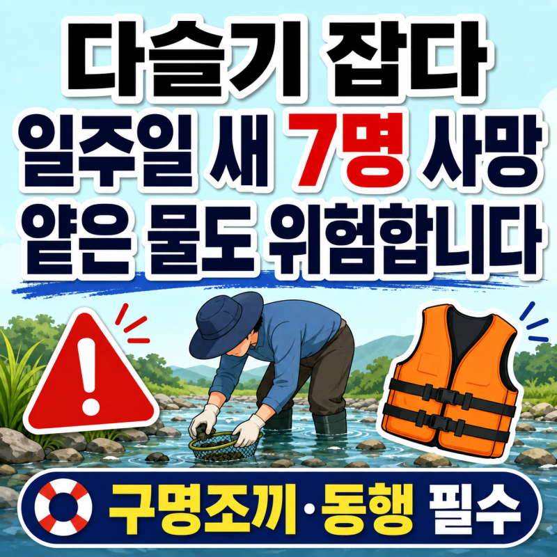다슬기 잡다 일주일 새 7명 사망, 얕은 하천이 더 위험한 이유와 채취 안전수칙