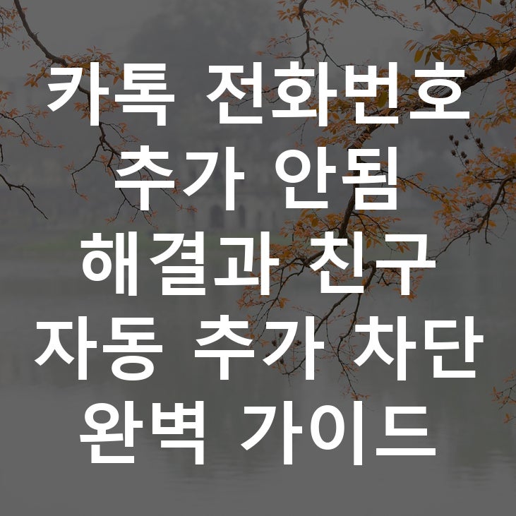 카톡 전화번호 추가 안됨 해결과 친구 자동 추가 차단 완벽 가이드
