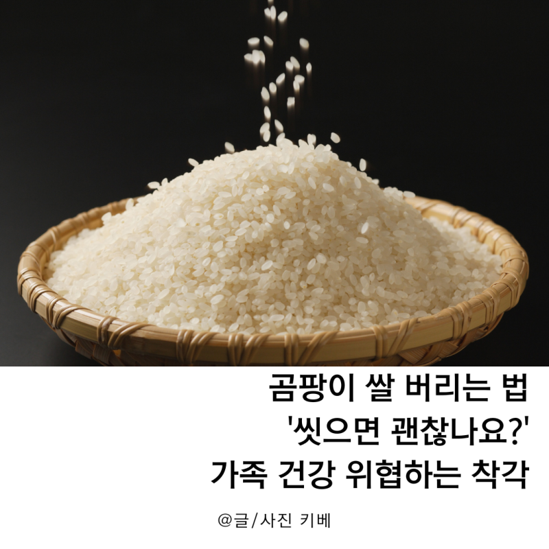 곰팡이 쌀 버리는 법 '씻으면 괜찮나요?' 가족 건강 위협하는 착각