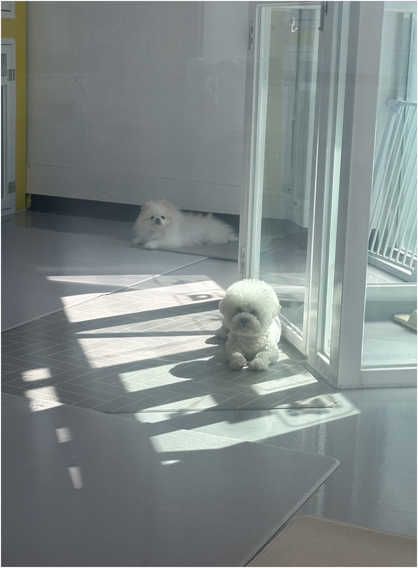 작은행복 사진 1