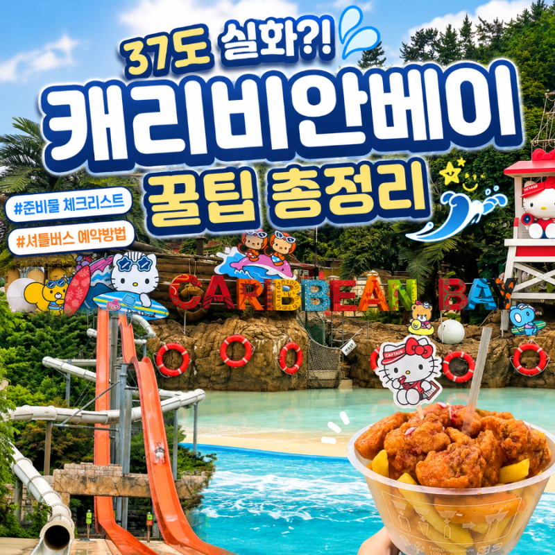 종일권 하나로 에버랜드까지 200% 즐기는 방법! 캐리비안베이 셔틀버스 예약링크 공유