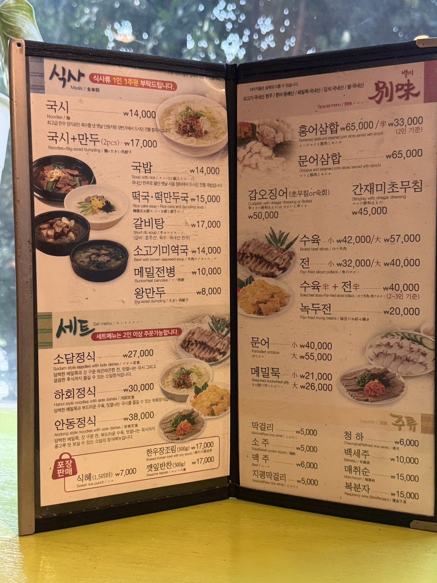 콩 사진 5