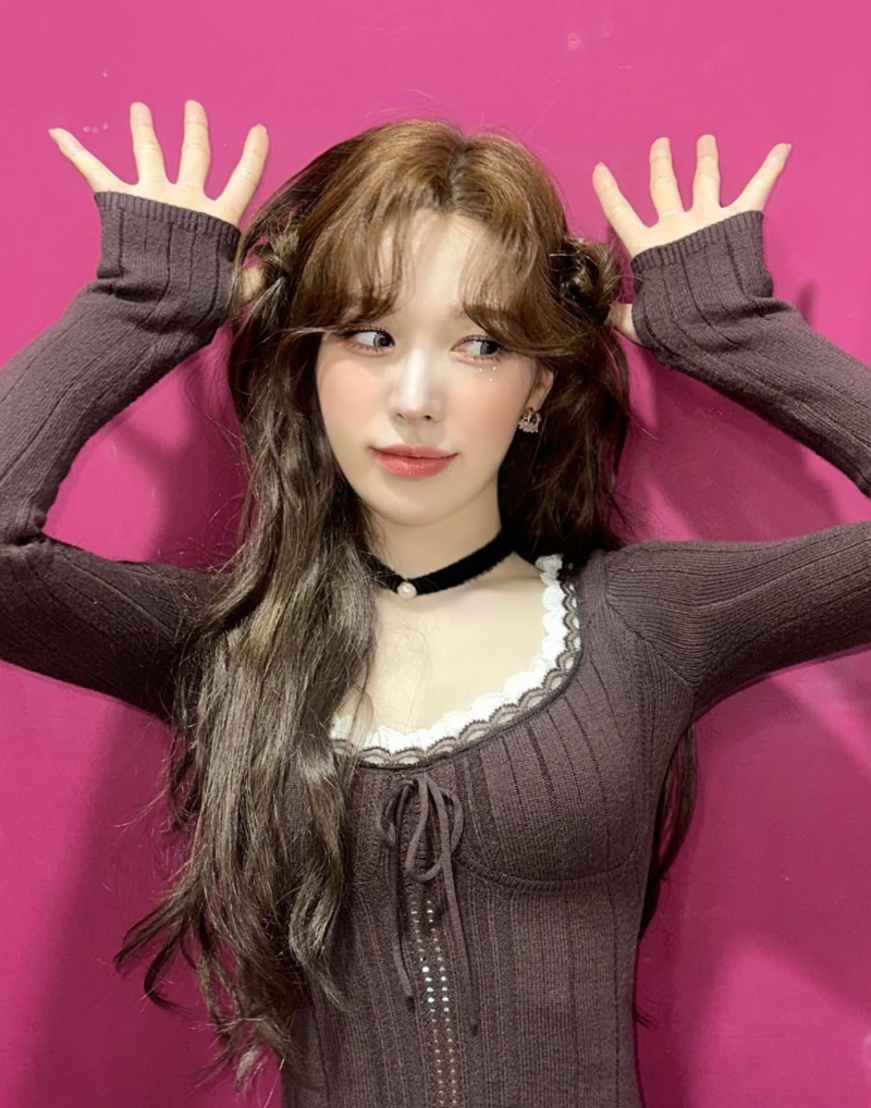 "뼈만 남았는데 탄력은 극강?" 레드벨벳 웬디의 요요 없는 다이어트 비법 총정리