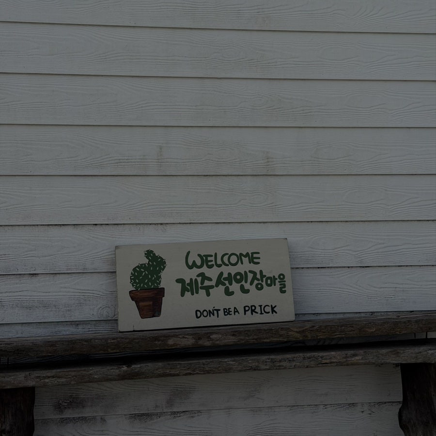 추억만들기 사진 3