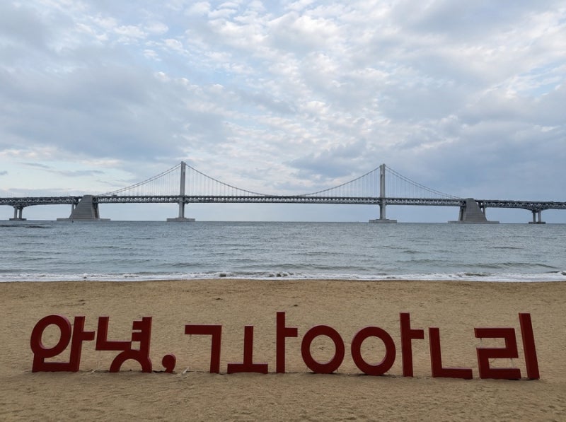 부산 광안리해수욕장 개장기간·주차·대여요금 총정리｜샤워장 이용 정보까지