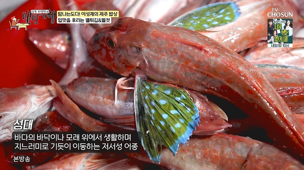 정성듬뿍제주국 사진 3