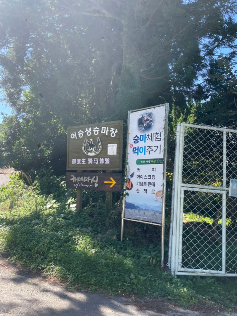 제주도가볼만한곳-어승생승마장