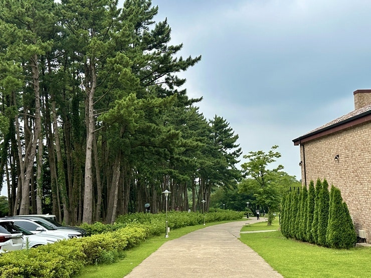 이끼숲소길 사진 4