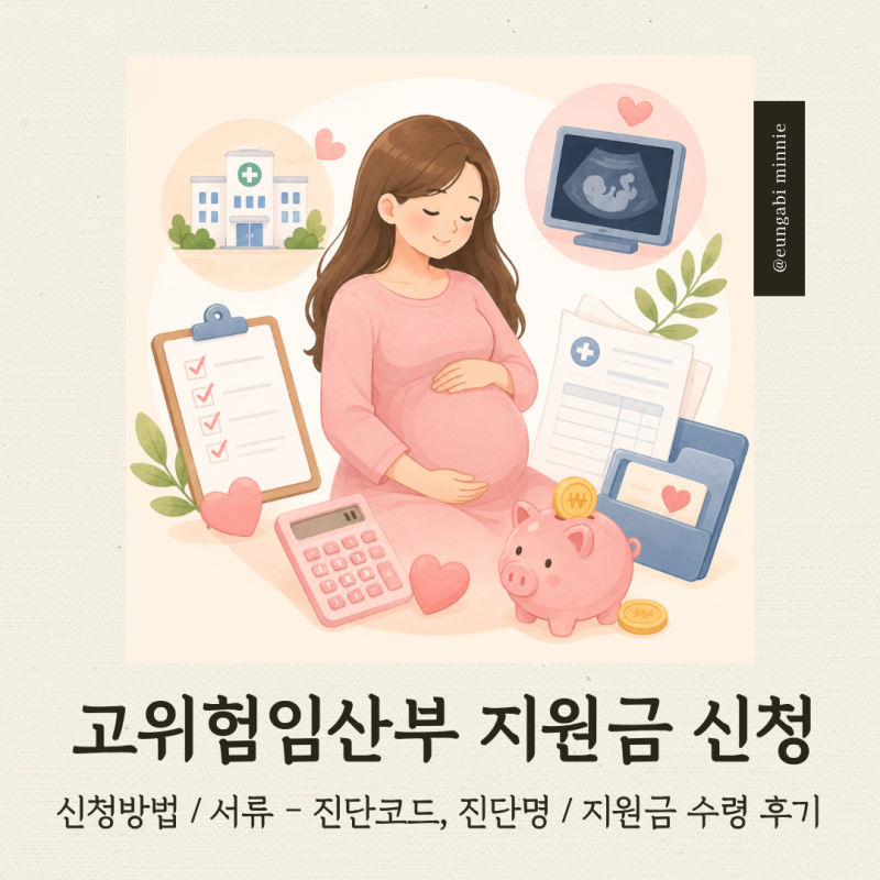 [임신] 고위험 임산부 의료비 지원금 후기｜신청 방법·진단코드·구비서류·지원금액·비급....