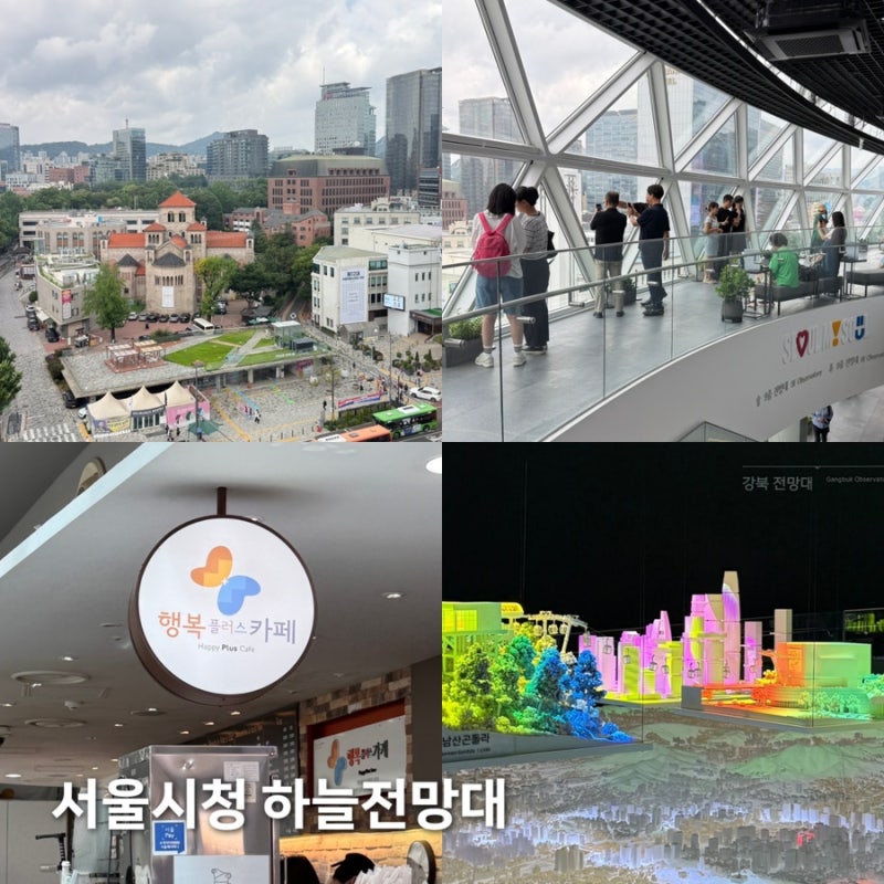 서울시청 하늘전망대 무료 전망부터 카페 서울갤러리까지 실내 놀거리 추천