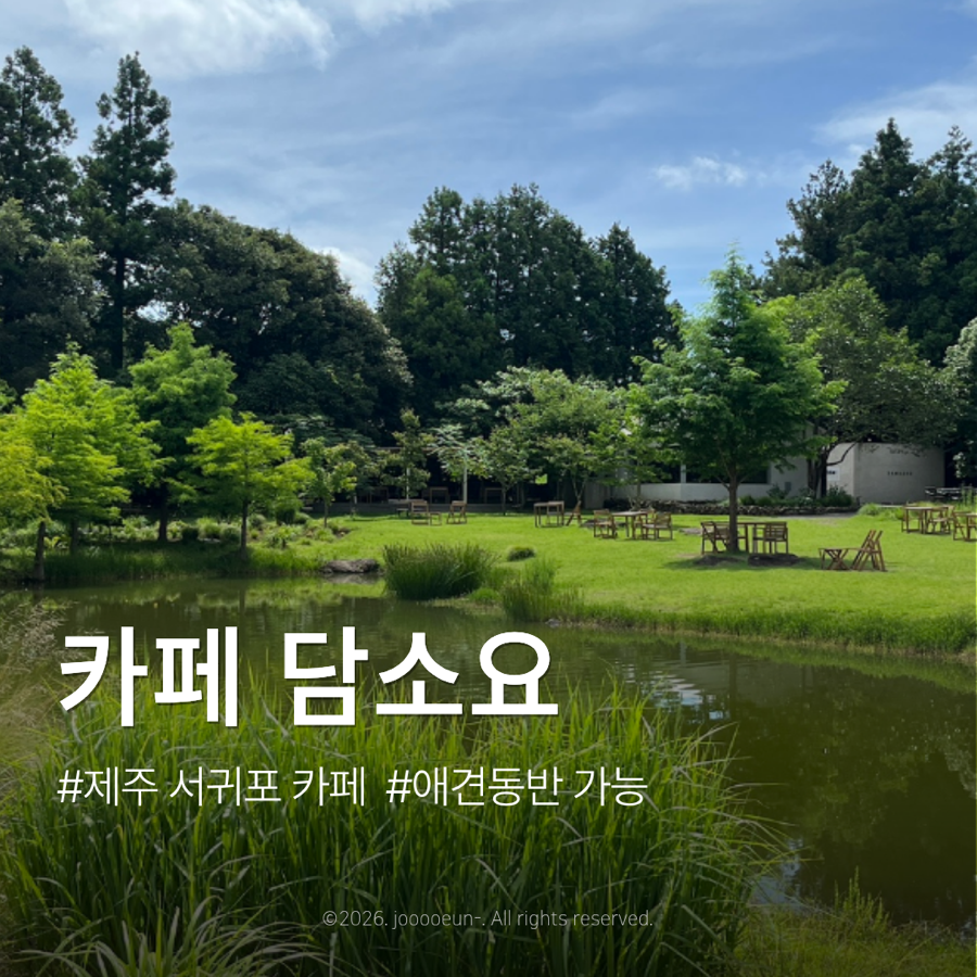카페담소요 사진 1