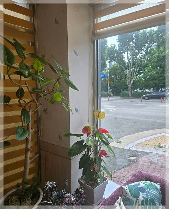 안 사진 3