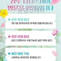 담담스테이 사진 4