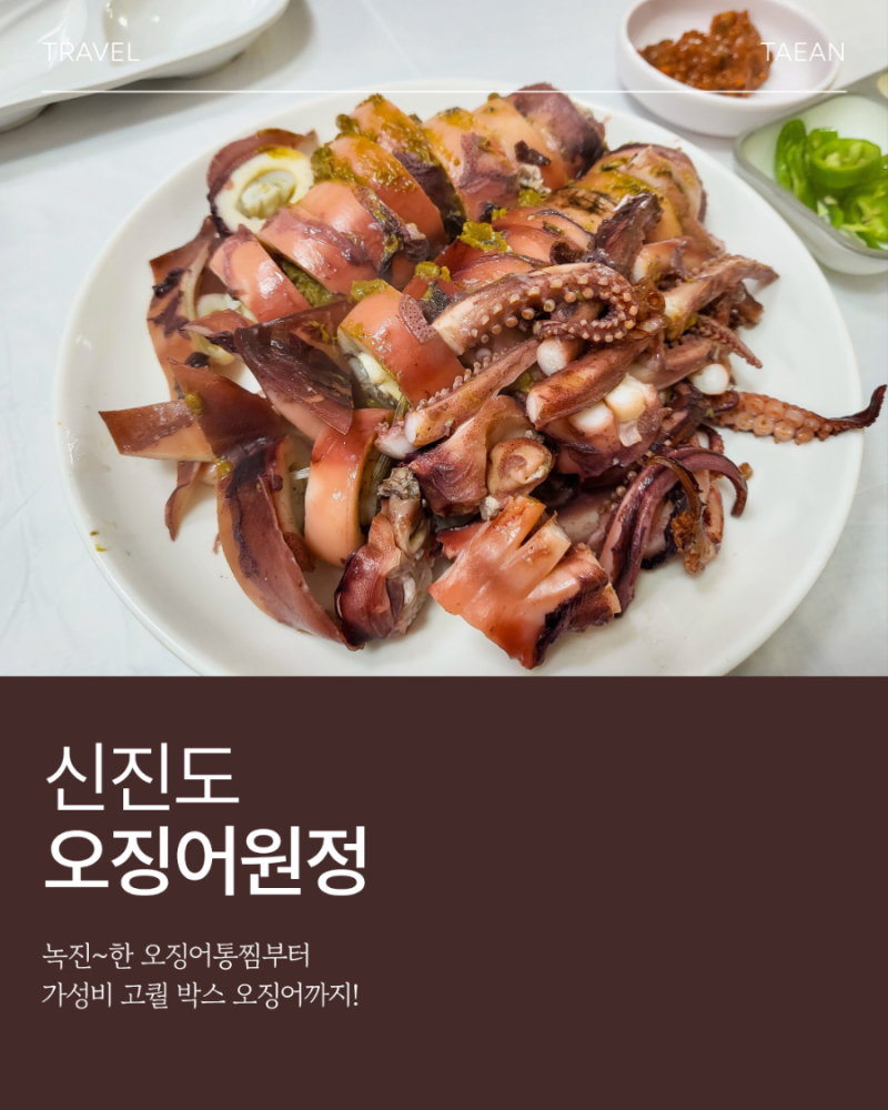 태안 신진도항 오징어 시세 및 통찜 후기! 일요일 방문 꿀팁과 작년 비교 (ft.시세정보)