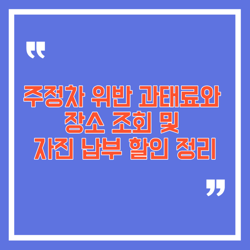 주정차 위반 과태료와 장소 조회 및 자진 납부 할인 정리