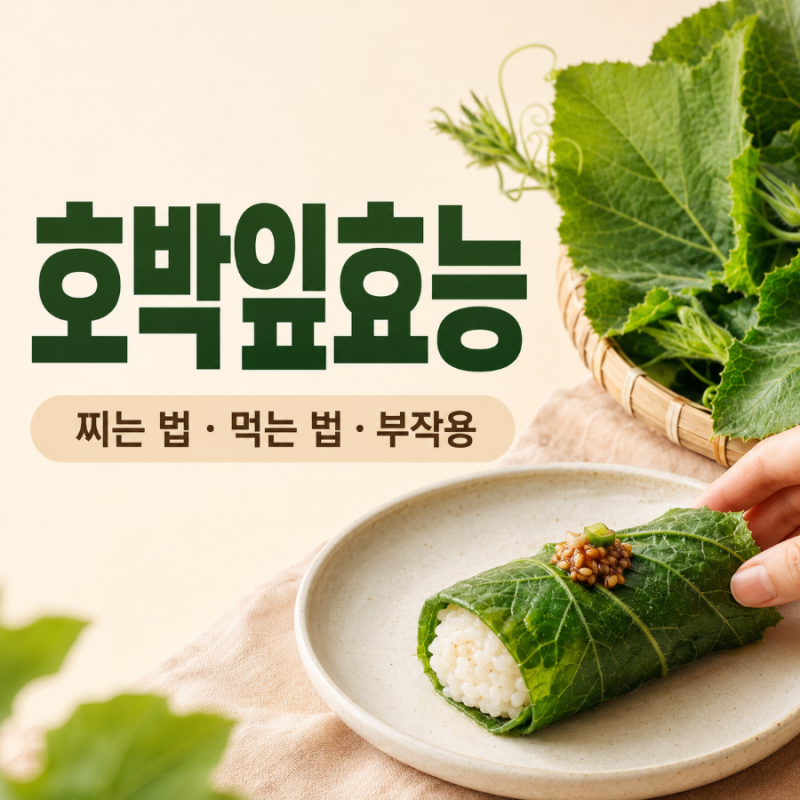 호박잎 효능과 찌는법 쌈장, 보관 손질법 주의 사항