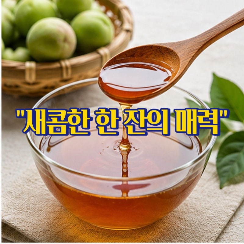 매실액효능 매실청 차이와 올바른 보관법