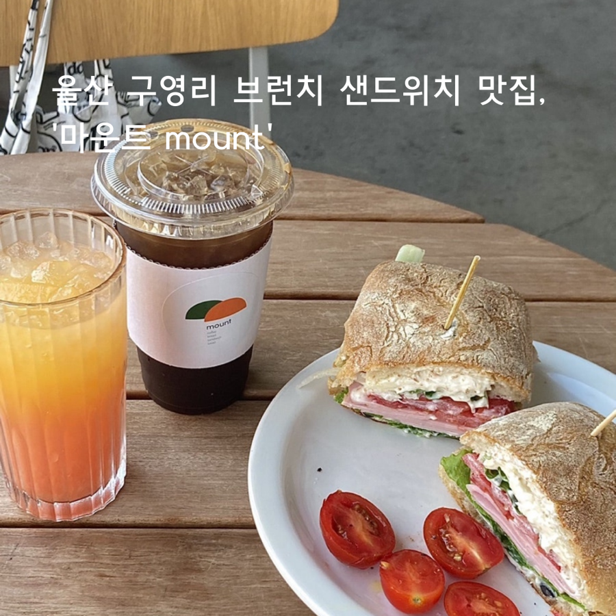 마운트 사진 1