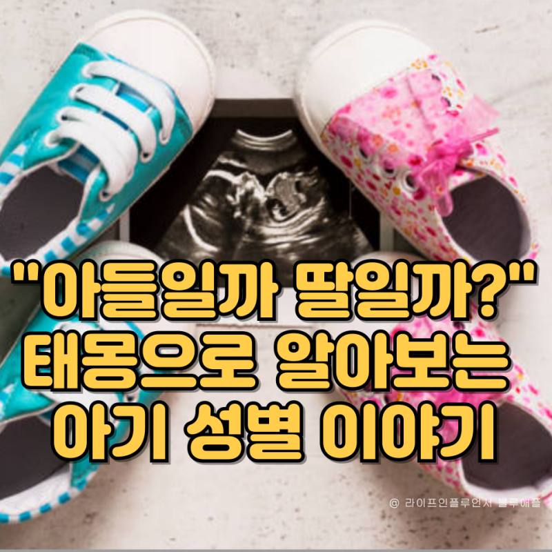 '아들일까 딸일까?' 태몽으로 알아보는 아기성별확인