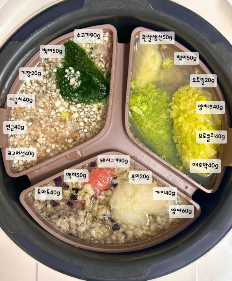 9개월 아기 후기 이유식 밥솥 이유식 만들기｜3끼 식단표와 레시피 기록