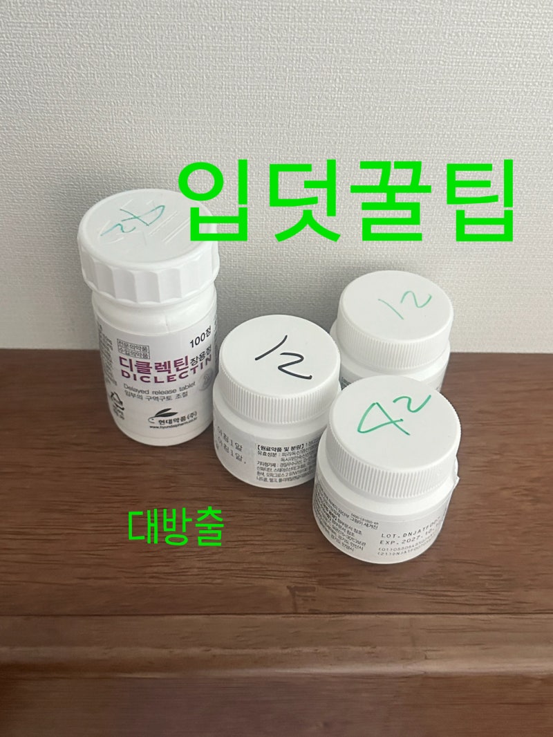 5주부터 15주까지 심한입덧, 입덧약 끊은후기 입덧 완화템 대방출