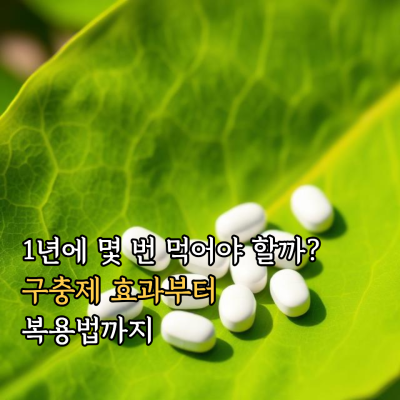 알벤다졸 구충제 복용시기와 올바른 복용법 (효과, 회충약, 강아지구충제 차이점)
