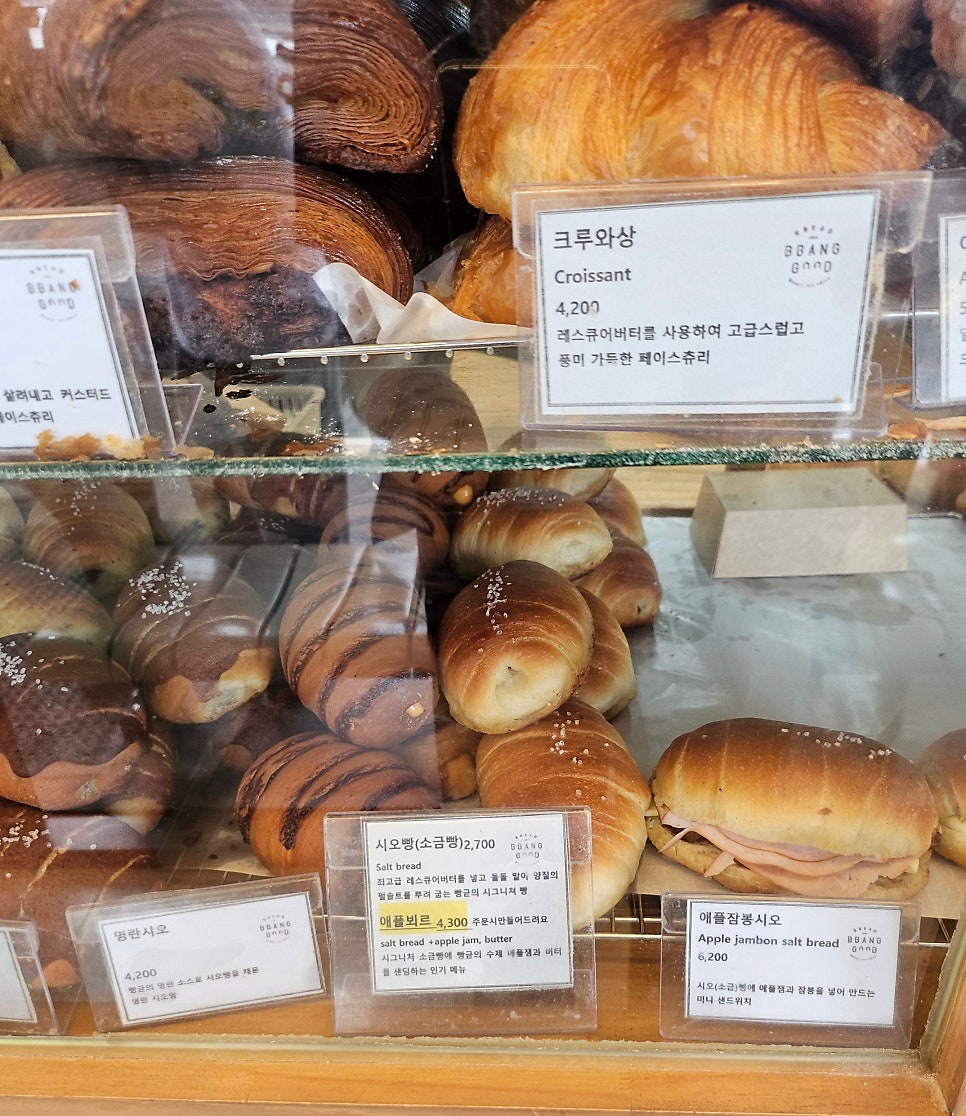 빵귿 사진 3