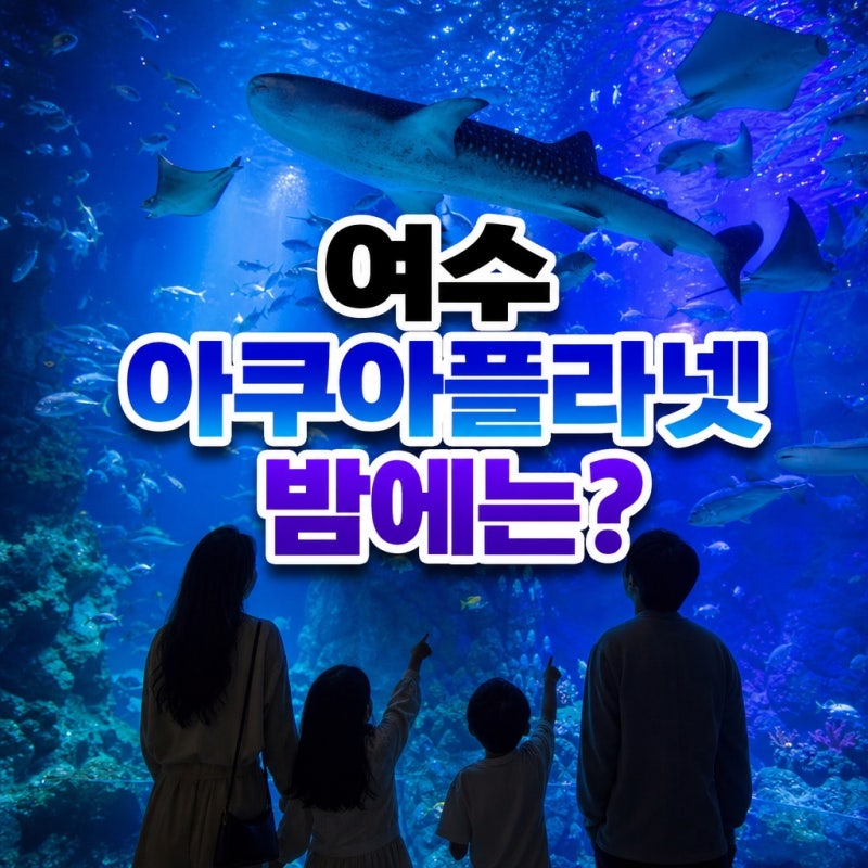 "아이들 눈이 휘둥그레"...여수 아쿠아플라넷, 아이와 여행 가보니 '이것' 때문에 감탄