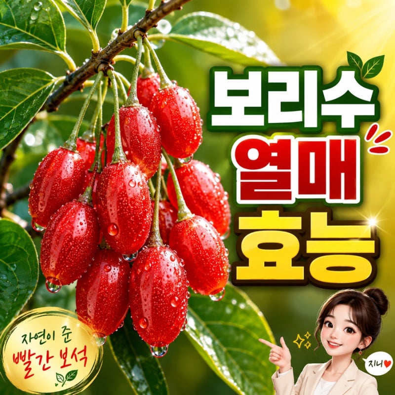 보리수 열매 효능 6가지, 먹는 법과 부작용까지 직접 먹어본 후기
