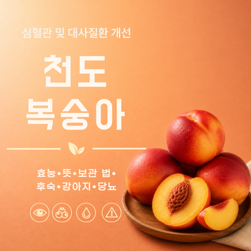 천도복숭아 뜻 효능 7가지 보관 법 후숙 강아지 당뇨