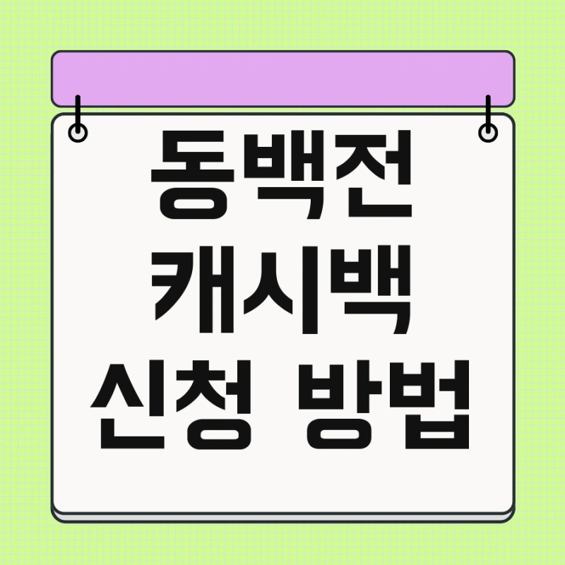 동백전 캐시백 신청 방법 및 적립 기준 쉽게 따라하기