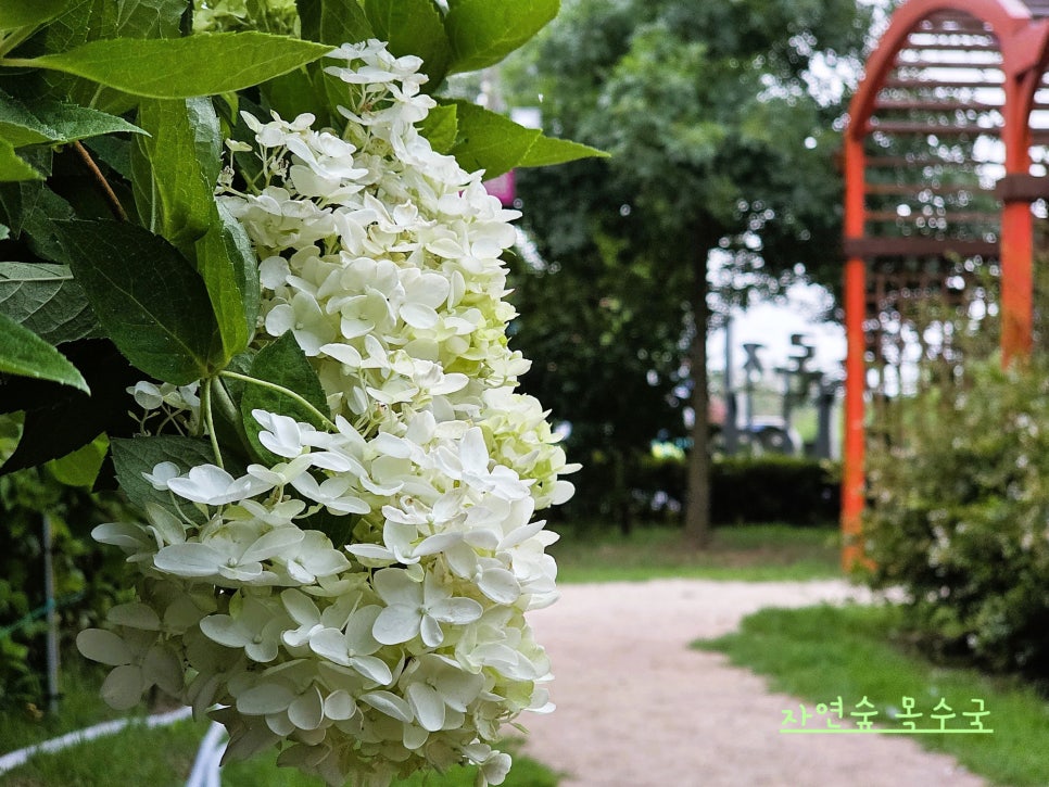 우로지 자연숲 사진 2