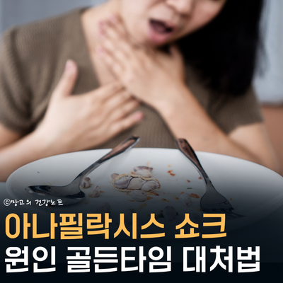 아나필락시스 쇼크 증상 원인 골든타임 대처법 확인!