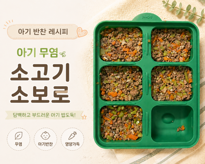 18개월 아기 무염 유아식 | 아기 무염 소고기소보로 만들기 소고기주먹밥