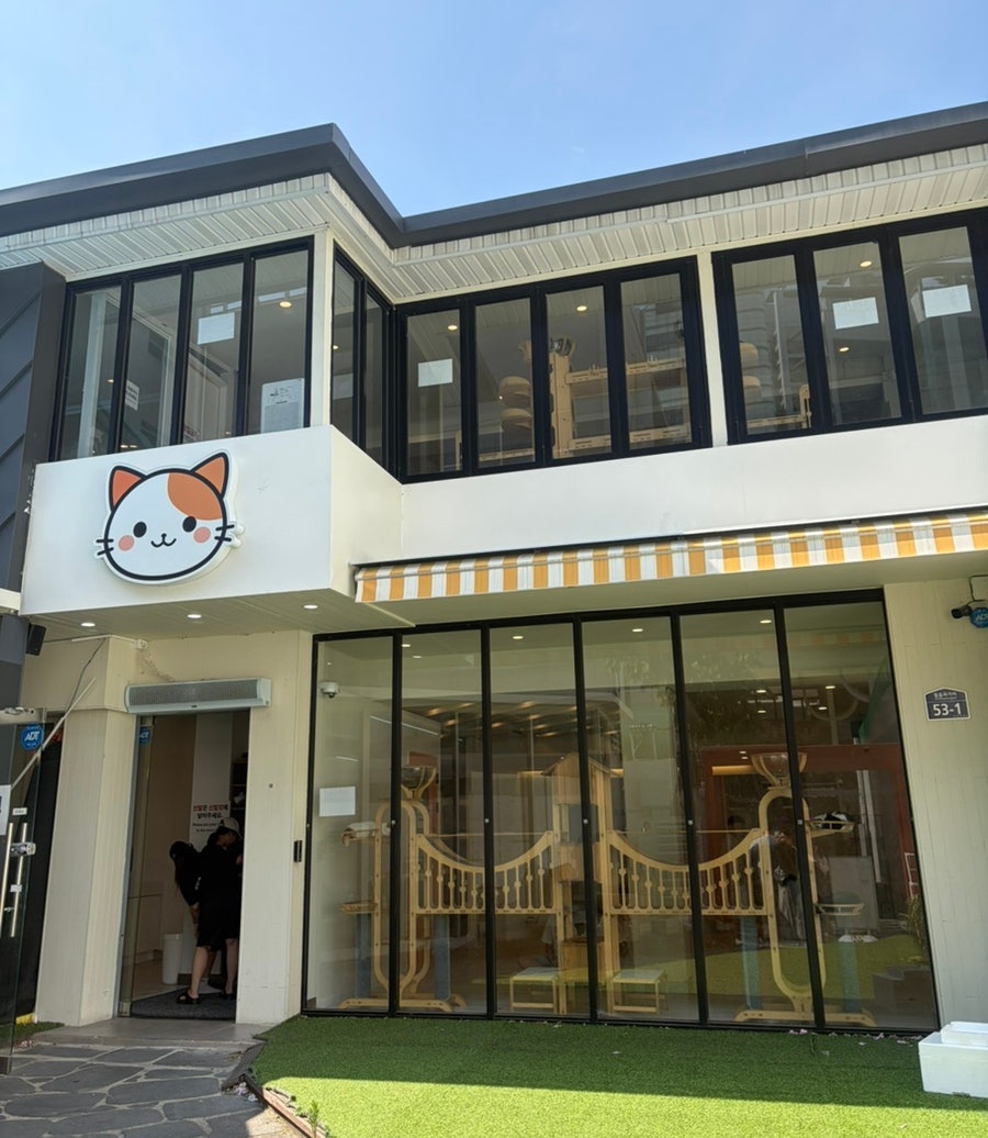 고양이네 사진 1