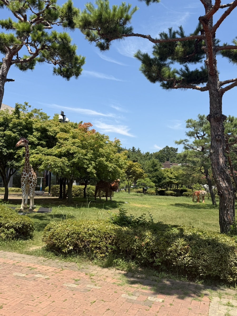 목포자연사박물관 사진 1