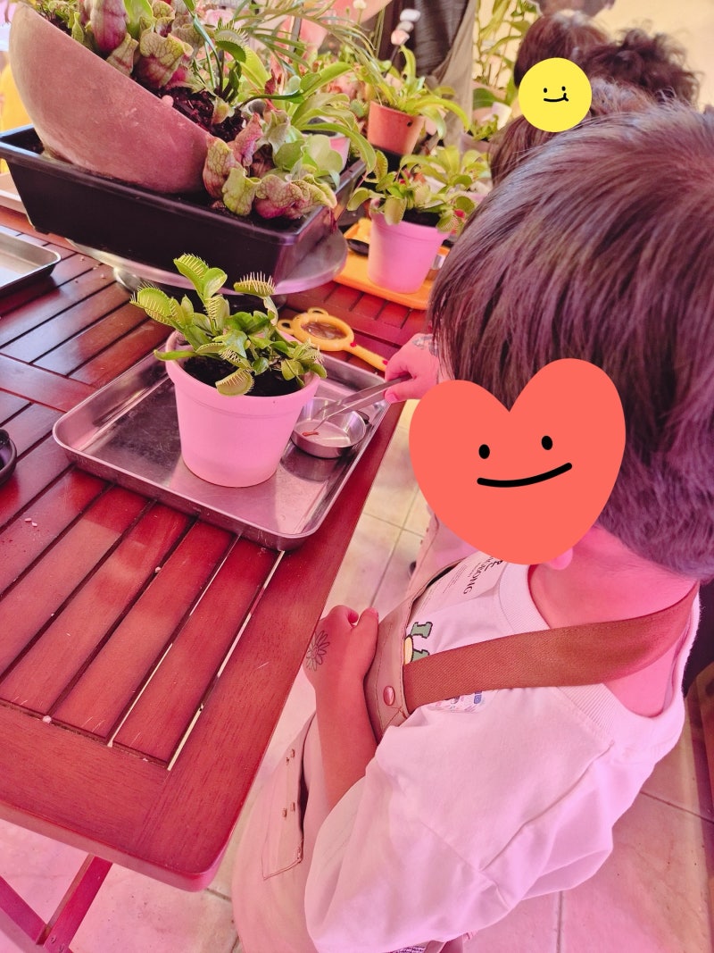 대전 봉봉농원 스마트팜 체험 카페 내돈내산 찐후기, 방학 주말 아이와 가볼만한 곳 추천, 주....