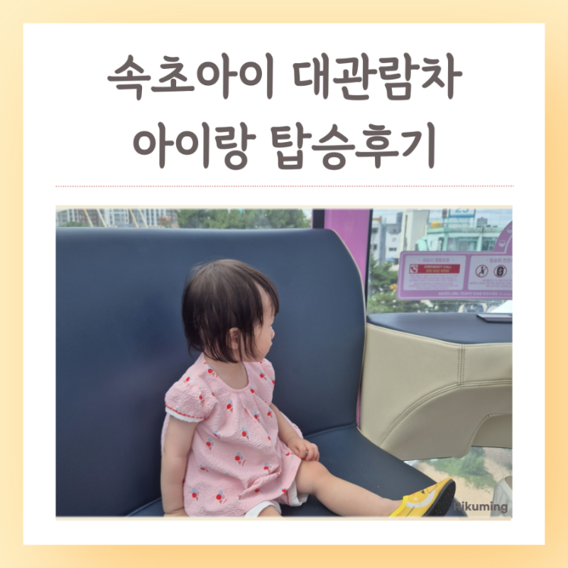 속초 아이랑 가볼만한곳 속초아이 대관람차 요금 시간 총정리