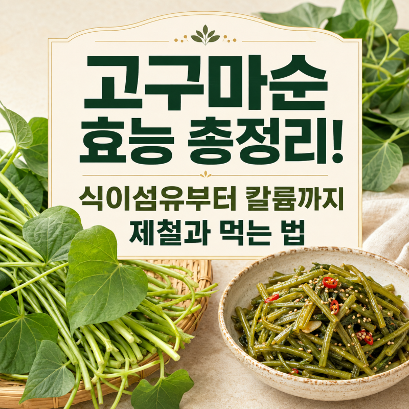 고구마순 효능 총정리! 식이섬유부터 칼륨까지, 제철과 먹는 법