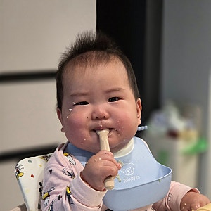 9개월 후기 이유식 총정리 | 3끼 스케줄, 입자감, 현실 한 달 식비 비교
