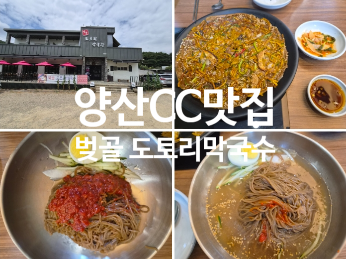 양산 CC 맛집 벚골 도토리막국수: 양산 드라이브