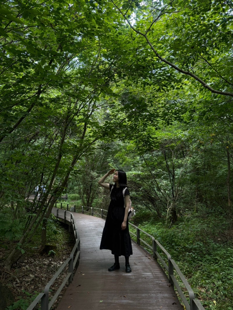 8월 2일 광릉 국립수목원 나들이 (숲해설탐방, 육림호카페, 열대식물자원연구센터)