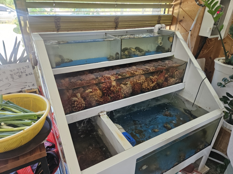 해담 사진 2