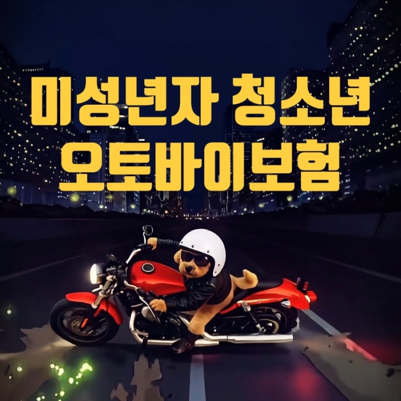 미성년자 청소년 오토바이 이륜차 보험 가입 조건 총정리 (부모님 명의로 보험료 50% 아끼는 ....