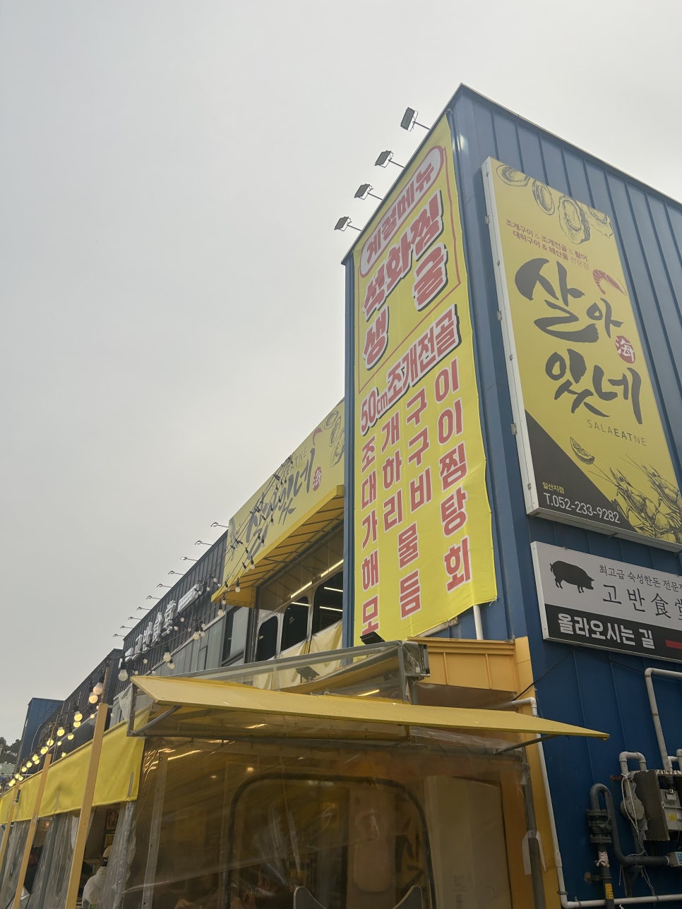 살아있네 일산점 사진 1